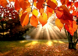 Podzimní prázdniny